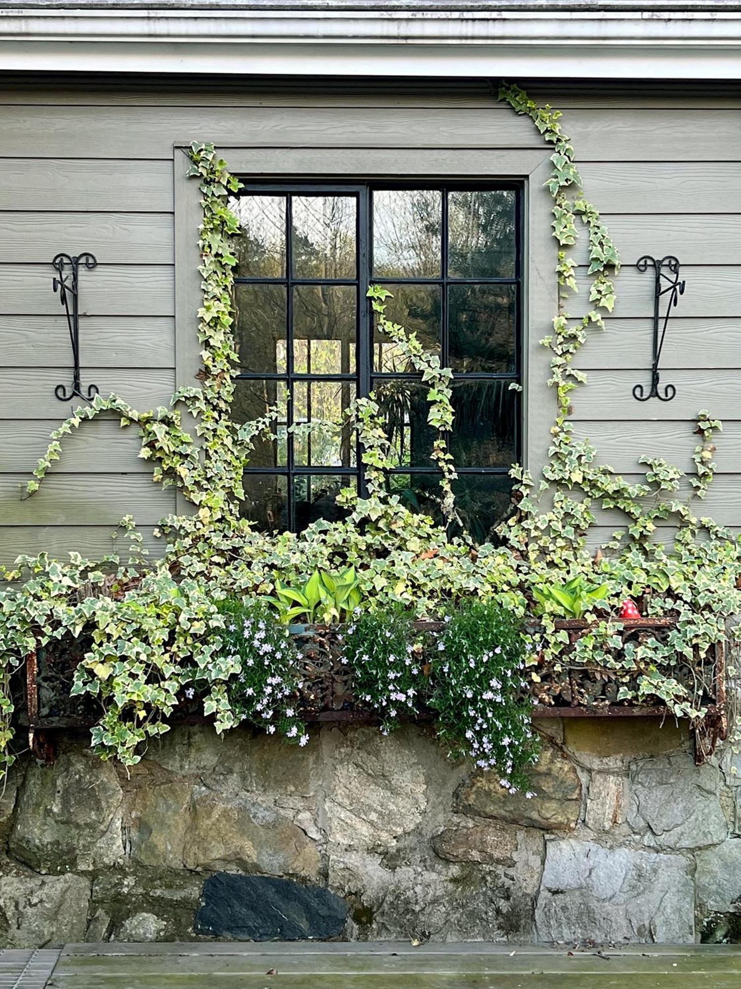 Studio Guest Suite In Forest Cottage Tryon Luaran gambar